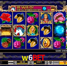 w6bet Rio de Janeiro - Bonus Terms